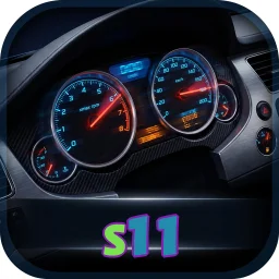 s11